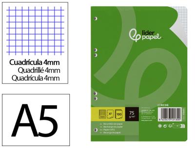 Recambio liderpapel a5 100 hojas 75gr cuadro 4mm con margen 6 taladros