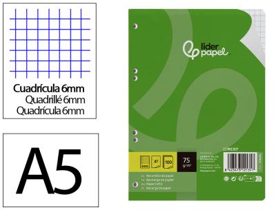Recambio liderpapel a5 100 hojas 75gr cuadro 6mm con margen 6 taladros