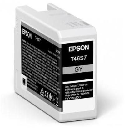Cartucho Epson UltraChrome Pro 1 pieza Original Gris C13T46S700