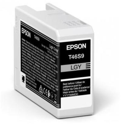 Cartucho Epson UltraChrome Pro 1 pieza Original Gris claro C13T46S900